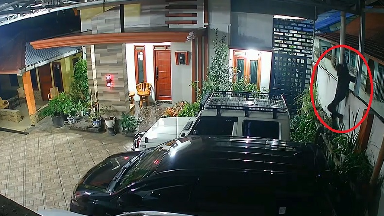 Bergaya Ninja dan Terekam CCTV, Maling Burung Milik Ketua Partai di Bengkulu Ditangkap Polisi