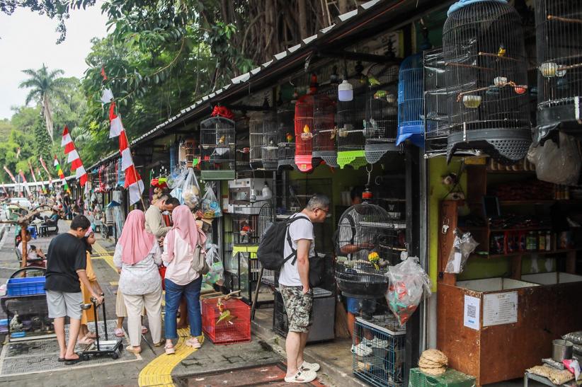 Pasar Hewan Barito Segera Direlokasi - Bagian 1