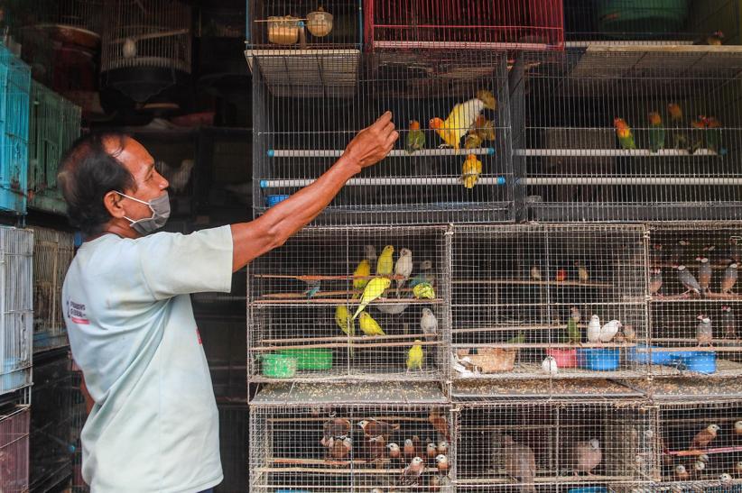 Pasar Hewan Barito Segera Direlokasi - Bagian 3