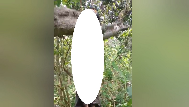 Mayat Pria di Jombang Ditemukan Tergantung di Pohon, Kondisi Nyaris Mengering