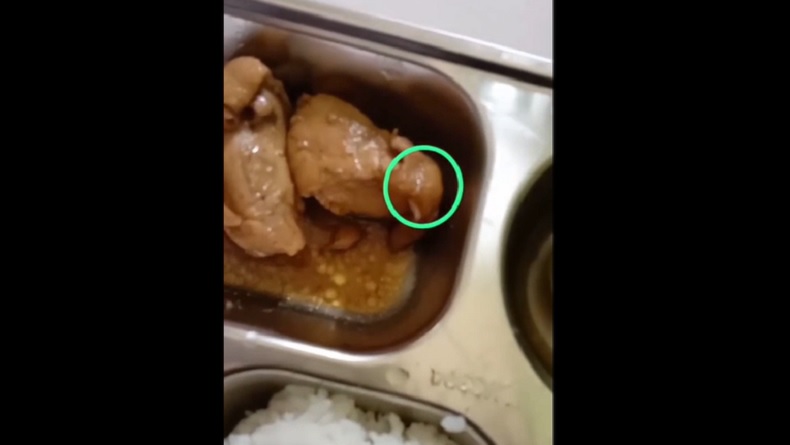 Viral! Belatung Ditemukan pada Makan Bergizi Gratis di 2 Sekolah Tuban