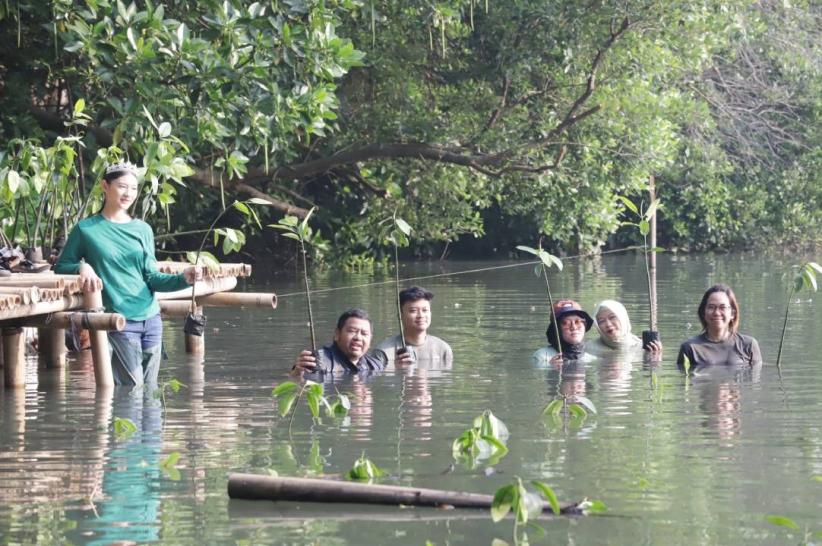 Penanaman Ratusan Pohon Mangrove - Bagian 2