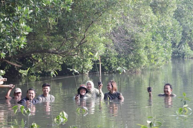 Penanaman Ratusan Pohon Mangrove - Bagian 3