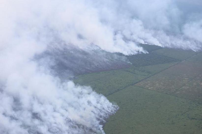 Kabut Asap Karhutla di Rohul Riau Semakin Pekat, Siswa Sekolah Diliburkan