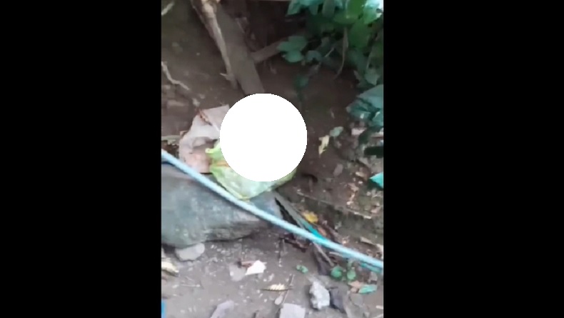 Jasad Bayi Ditemukan di Tepi Jalan Situbondo, Kondisi Mengenaskan
