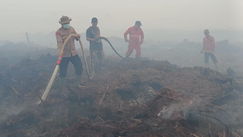Petugas Kewalahan Padamkan Kebakaran Lahan Gambut Muarojambi