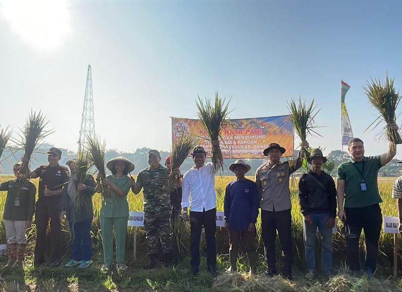 Bupati Bandung Panen Raya Padi di Dayeuhkolot, Produksi Tembus 10 Ton per Hektare