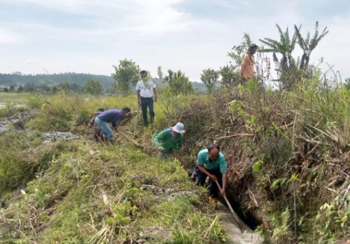 Antisipasi Longsor, Legislator Perindo Gotong Royong Bersihkan Irigasi di Humbahas