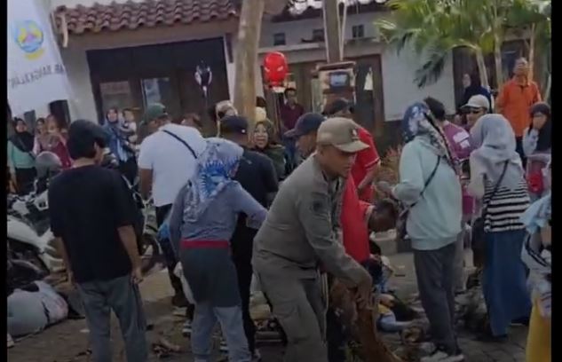 Pohon Tumbang Timpa Peserta Jalan Santai di Bangkalan, Guru dan Siswi SD Luka-Luka