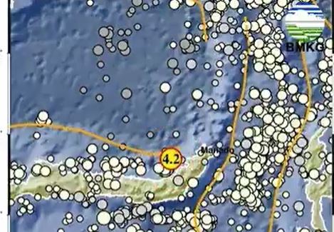Gempa Terkini M 4,2 Guncang Amurang Minahasa Selatan, Kedalaman 10 Km