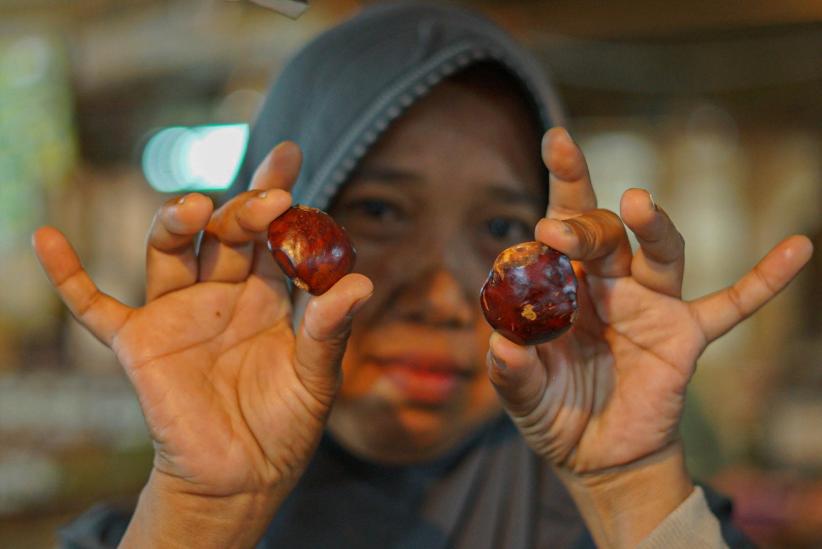 Harga Jengkol Nyaris Setara Daging Sapi, Tembus Rp120 Ribu per Kg! - Bagian 3