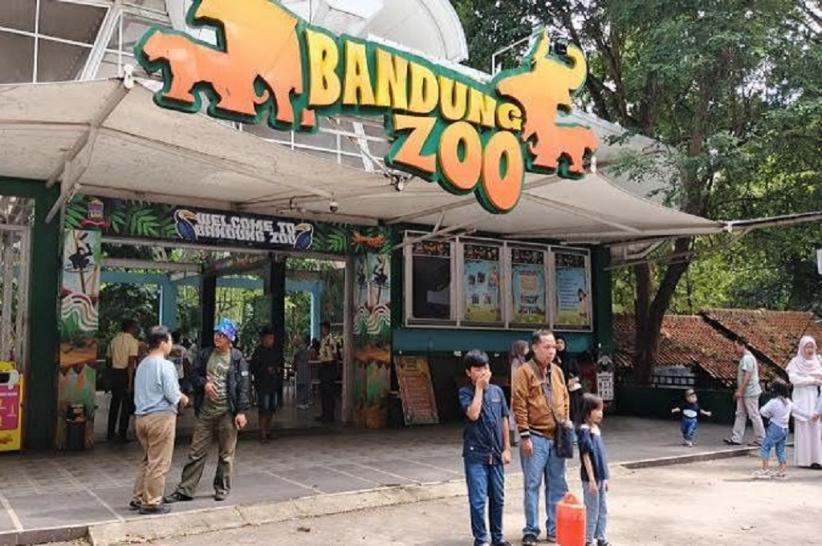 Kisruh Kebun Binatang Bandung, Dedi Mulyadi Klaim Bisa Selesaikan jika Diminta