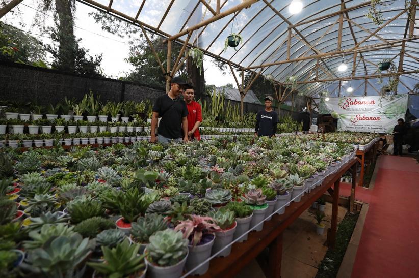 Pameran Flona 2025 Dorong Potensi Flora dan Fauna Unggulan Daerah - Bagian 2