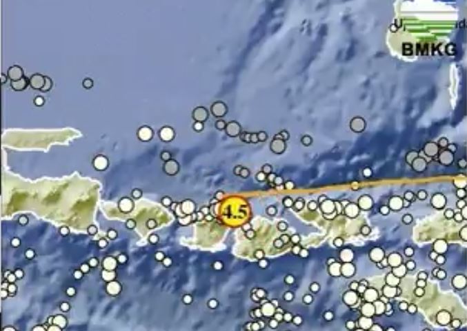Gempa Terkini M 4,4 Guncang Pulau Panjang NTB, Kedalaman 10 Km