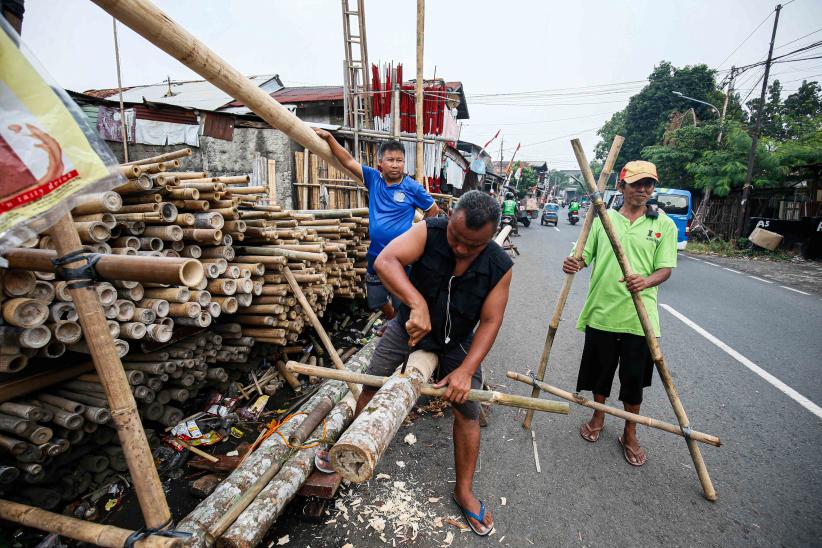 Melihat Kesibukan Pedagang Pohon Pinang Jelang HUT ke-80 RI - Bagian 3