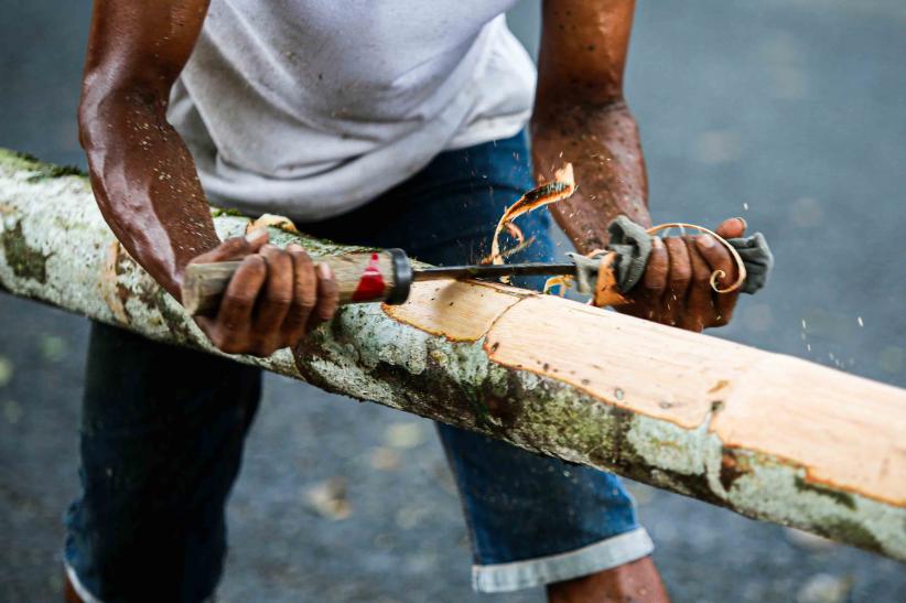 Melihat Kesibukan Pedagang Pohon Pinang Jelang HUT ke-80 RI - Bagian 2