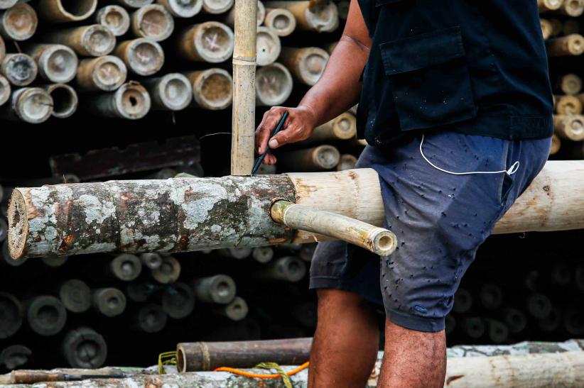 Melihat Kesibukan Pedagang Pohon Pinang Jelang HUT ke-80 RI - Bagian 6