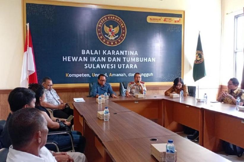 Karantina Sulut Perketat Masuknya Daging Celeng, Cegah Wabah Demam Babi Terulang