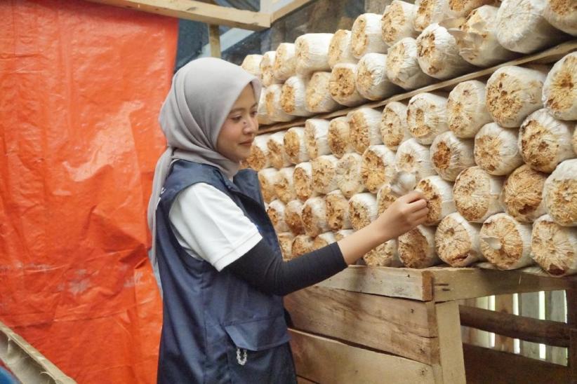 Dorong Kemandirian Desa Medanglayang lewat Pertanian, UMKM dan Pariwisata - Bagian 3