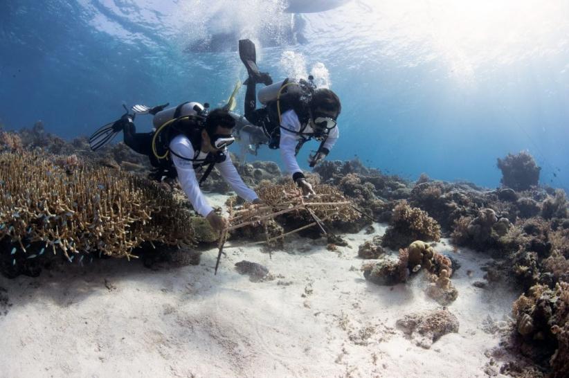 Khidmat! Upacara Pengibaran Bendera Merah Putih di Bawah Laut Labuan Bajo - Bagian 5