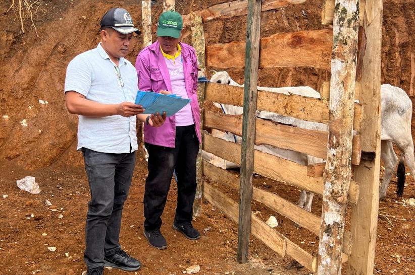 title Legislator Perindo Yusuf Bora Beri Bantuan 11 Sapi, Warga Sumba Barat Daya Bersyukur Legislator Perindo Yusuf Bora Beri Bantuan 11 Sapi, Warga Sumba Barat Daya Bersyukur