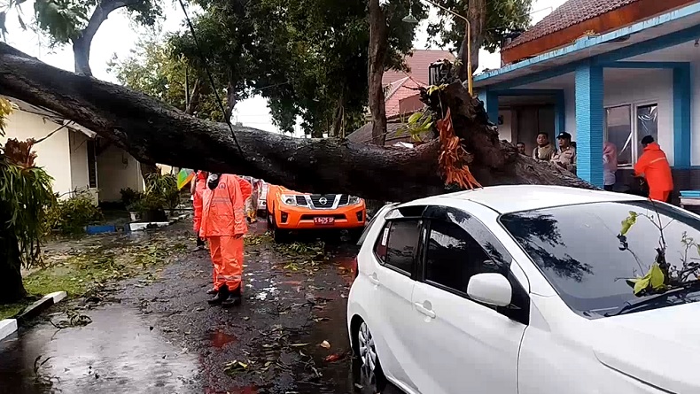 Hujan Lebat dan Angin Kencang Terjang Mojokerto, Pohon Tumbang hingga Mobil Ringsek