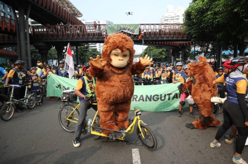 Peringatan Hari Orangutan Sedunia 2025 - Bagian 2