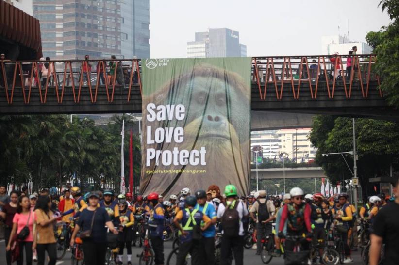 Peringatan Hari Orangutan Sedunia 2025 - Bagian 4