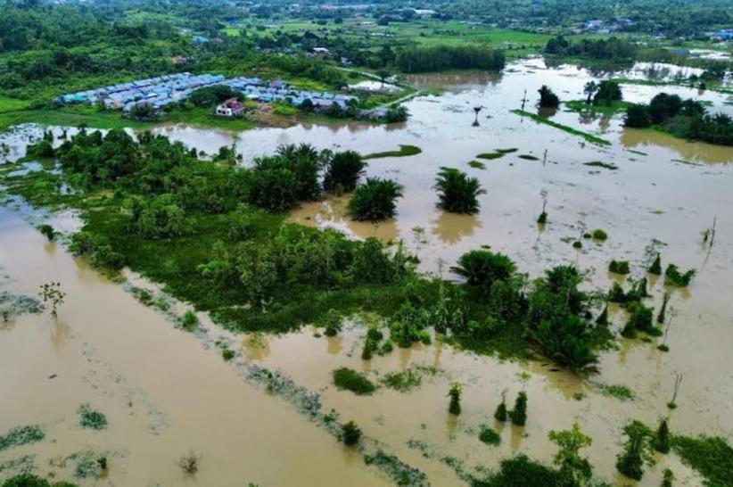 title Banjir Landa Donggala hingga Sorong Papua Barat, BNPB Minta Warga Tetap Waspada Banjir Landa Donggala hingga Sorong Papua Barat, BNPB Minta Warga Tetap Waspada