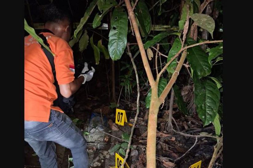 Sarmi Geger! Tulang Belulang Manusia Ditemukan di Hutan Pinggir Sungai Erafo