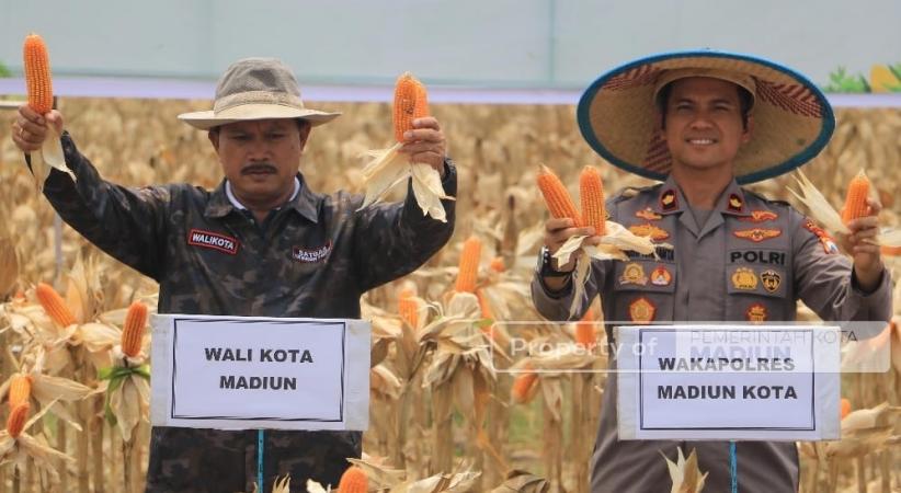 Pemkot Madiun dan Polri Perkuat Ketahanan Pangan lewat Panen Raya Jagung 