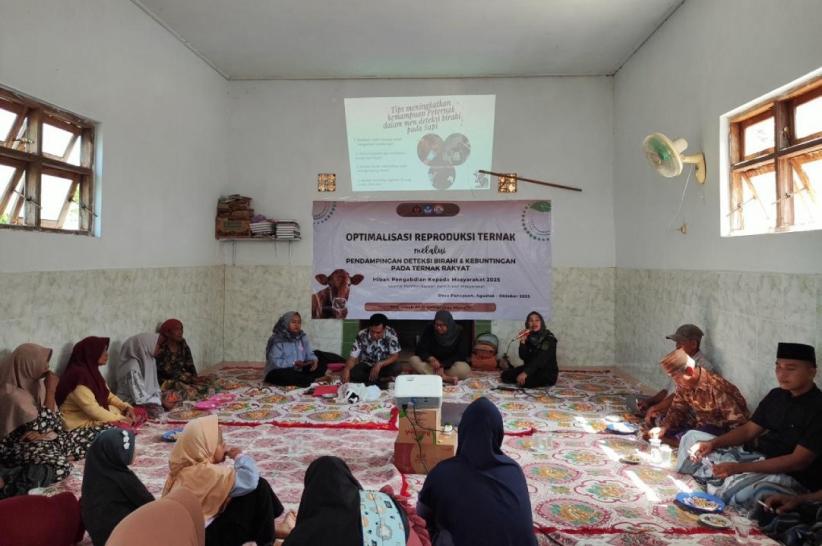 Optimalisasi Reproduksi Ternak, Peternak Pamekasan Andalkan Inovasi Daun Randu - Bagian 2