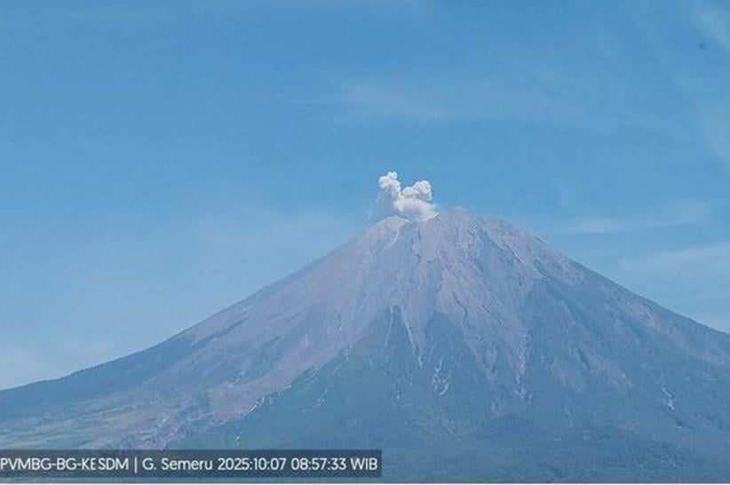 title Gunung Semeru Kembali Erupsi Pagi Ini, Luncurkan Abu Vulkanik  Gunung Semeru Kembali Erupsi Pagi Ini, Luncurkan Abu Vulkanik