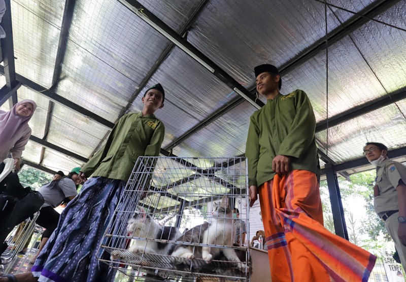Jakarta Bebas Rabies, Hewan Peliharaan Warga Divaksinasi - Bagian 4
