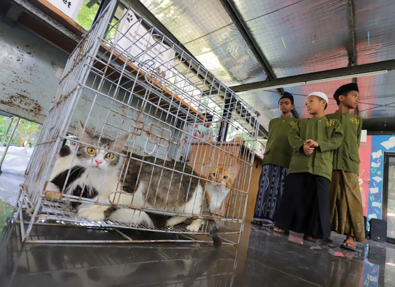 Jakarta Bebas Rabies, Hewan Peliharaan Warga Divaksinasi - Bagian 6