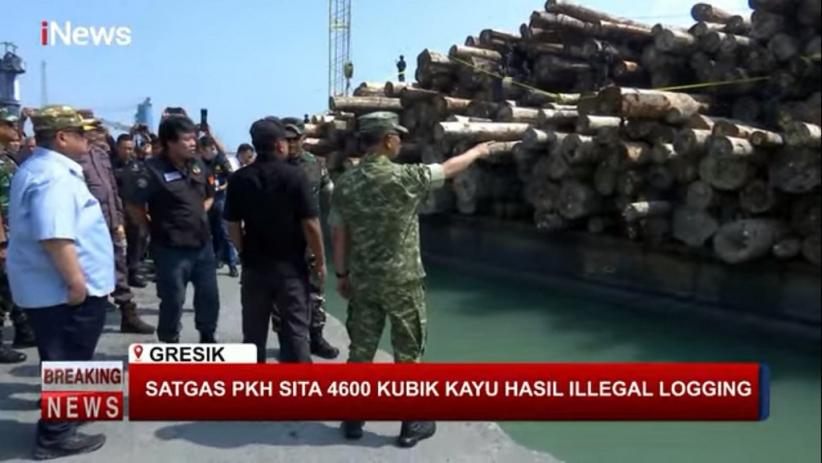 Satgas PKH Ungkap Modus Pembalakan Liar PT BRN di Mentawai, Manfaatkan PAHT Masyarakat