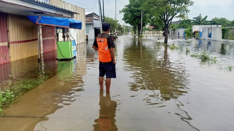 title Update Dampak Banjir di Semarang, BNPB: 134 Jiwa Mengungsi Update Dampak Banjir di Semarang, BNPB: 134 Jiwa Mengungsi