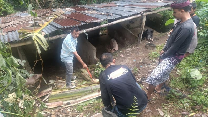 Tragis! Petani di Lombok Barat Tewas Tersengat Listrik Saat Tebang Pohon Pisang