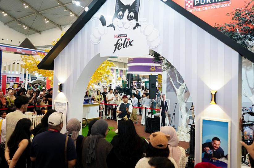 Terinspirasi Kucing Kesayangan, Sal Priadi Bawa Lagu Gala Bunga Matahari  - Bagian 3