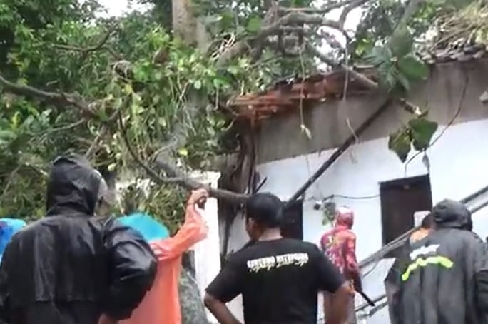 Pohon Tumbang Timpa Rumah di Boyolali, 8 Orang Satu Keluarga Terluka