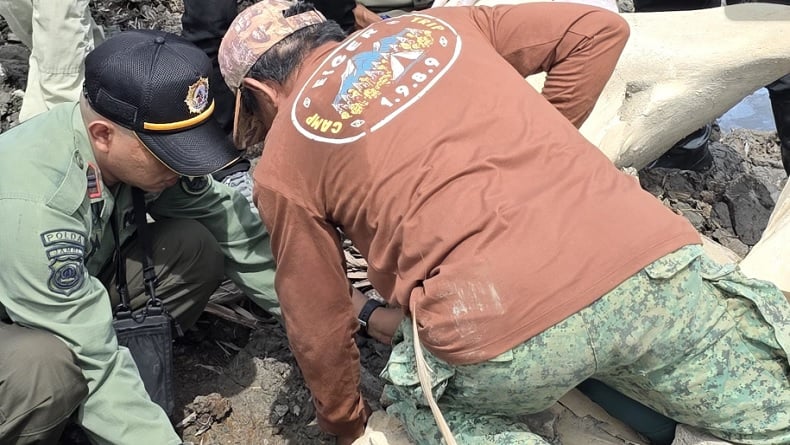 BKSDA Jambi Verifikasi Temuan Tengkorak Satwa Berukuran Besar Tertimbun di Kebun Warga