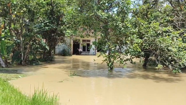 Sungai Ciberem Meluap akibat Hujan Deras, Ratusan Rumah di Cilacap Terendam Banjir