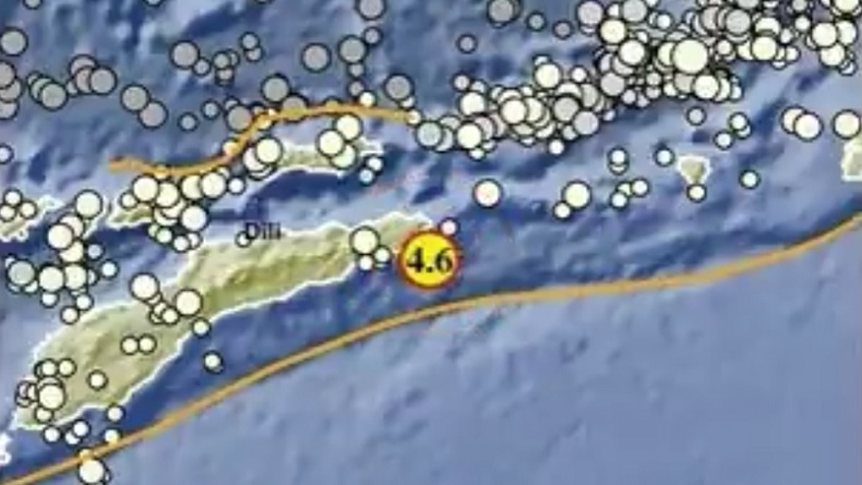 Gempa Bumi Terkini Magnitudo 4,6 Guncang Maluku Barat Daya, Kedalaman 10 Km