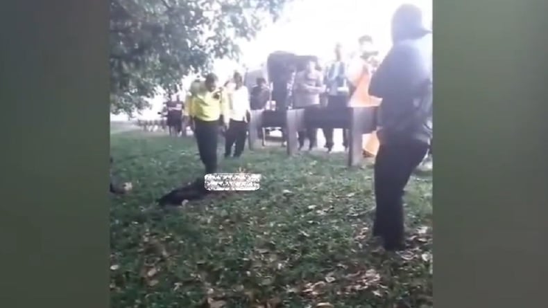 Terungkap Identitas Mayat Pria Tangan dan Kaki Terikat Ditemukan di Pinggir Tol Jagorawi