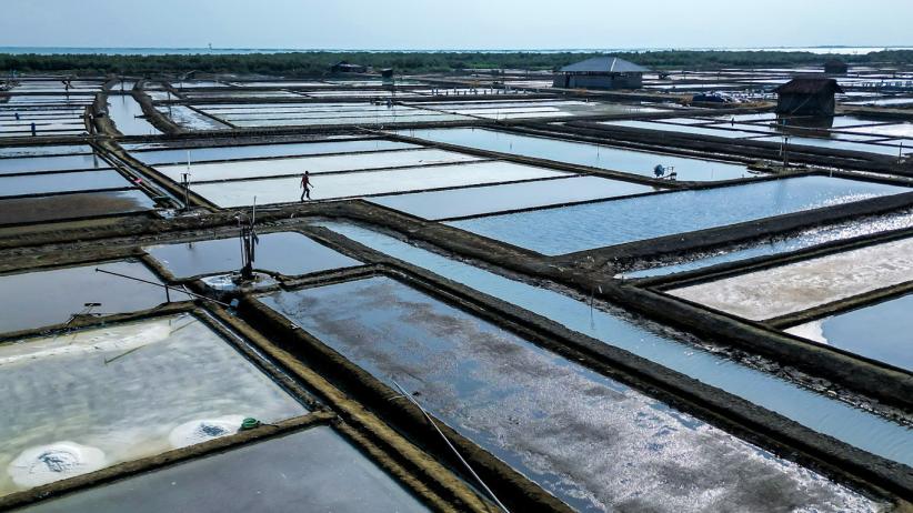 Dukung Ketahanan Pangan, KKP Dongkrak Produksi Garam - Bagian 3