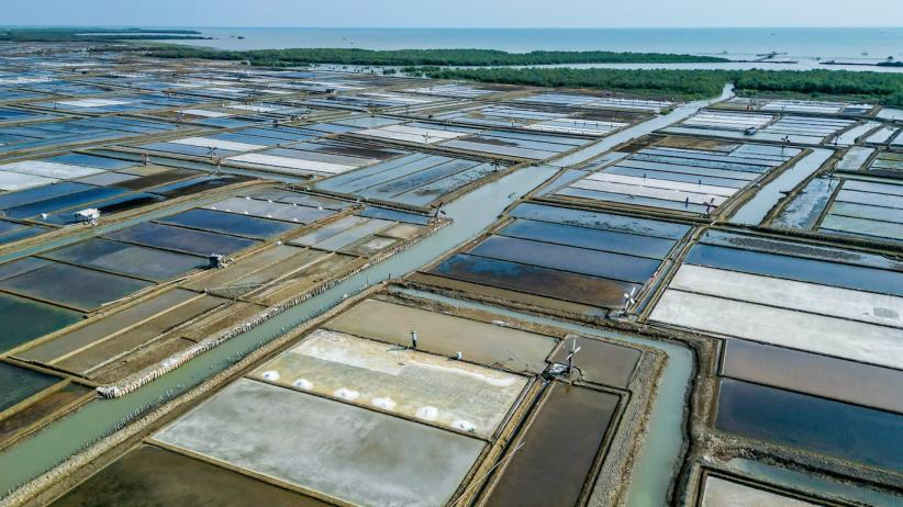 Dukung Ketahanan Pangan, KKP Dongkrak Produksi Garam - Bagian 4