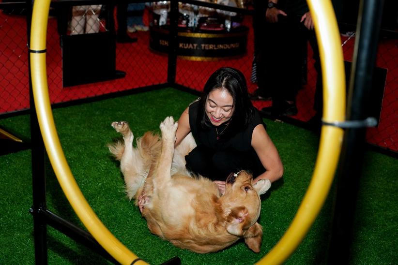 Ragam Aktivitas Seru Hewan Peliharaan pada Ajang IIPE 2025 - Bagian 2