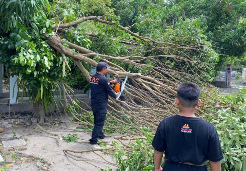 Lamongan dan Banyuwangi Diamuk Angin Kencang, 35 Rumah Rusak Parah