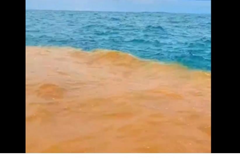 Viral Air Laut 2 Warna di Pantai Baron Gunungkidul, Netizen Heboh!