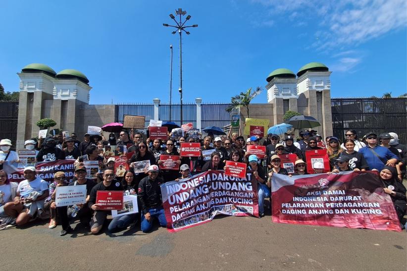 Akademisi Serahkan Naskah Akademik Usulan Pelarangan Perdagangan Daging Anjing dan Kucing ke DPR    - Bagian 4